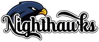 Newcastle Nighthawks Logo