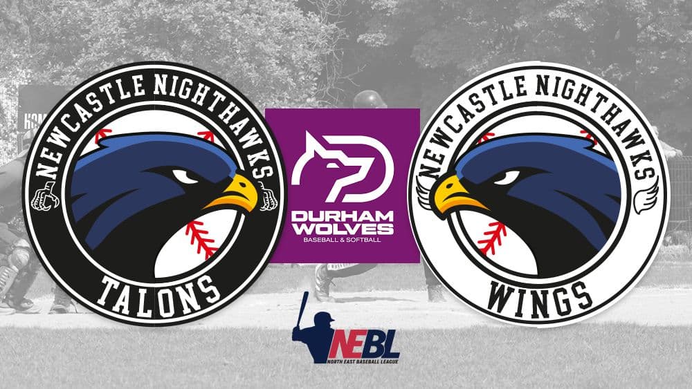 Nighthawks vs Wolves
